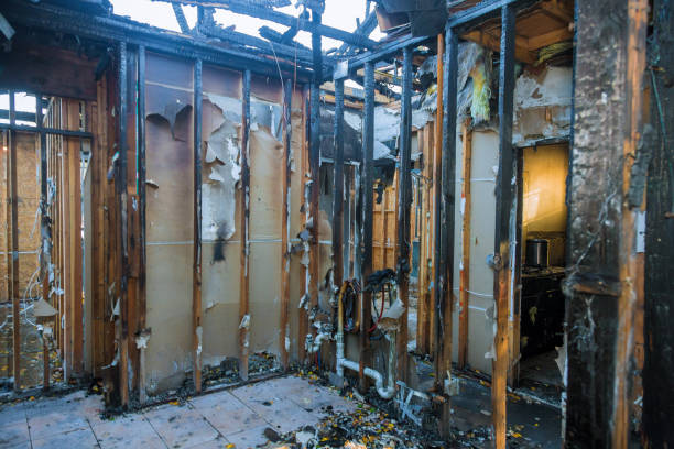 Professional Smoke Damage Removal technician working in Seadrift, TX